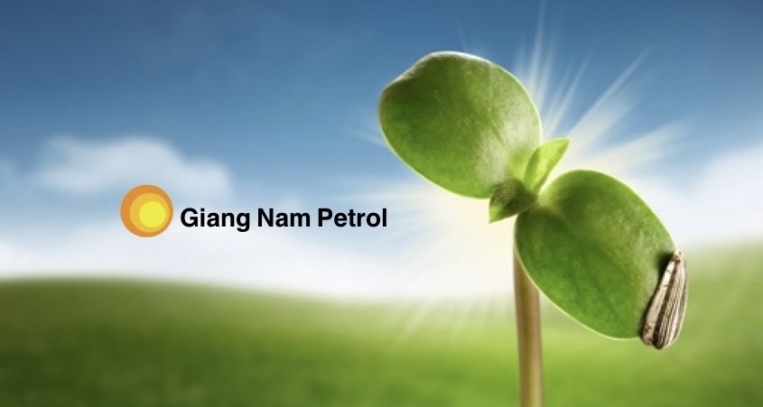 Phương án chuyển đổi kinh doanh Xăng E10