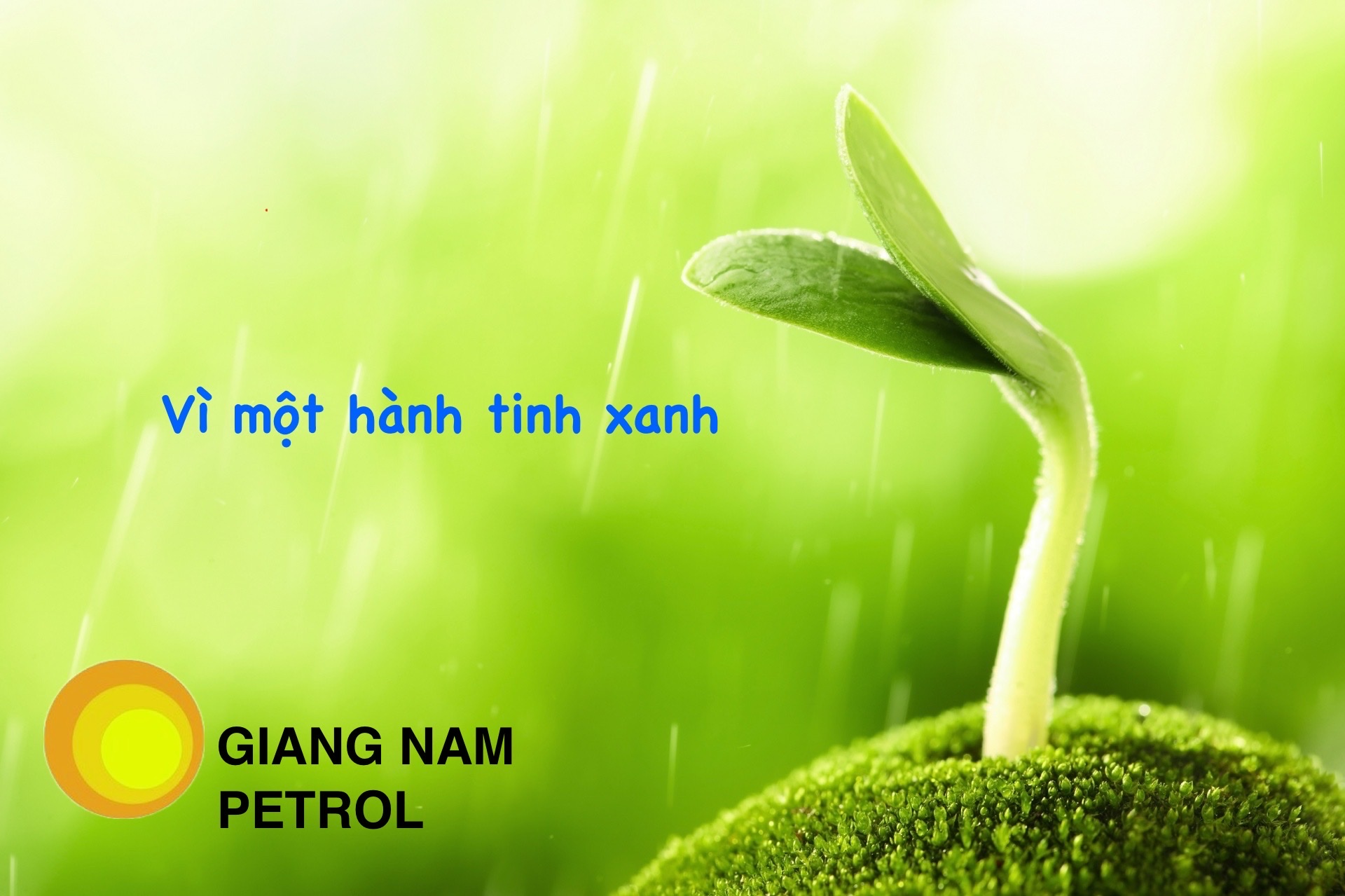 Kéo dài thời hạn áp dụng thuế nhập khẩu ưu đãi, thuế BVMT, thuế GTGT đối với xăng, dầu đến hết năm 2026